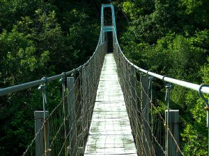 Pedestrian_Suspension_Bridge_near_the_Inn_at_Narrow_Passage