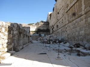 Digital Camera Pictures 102